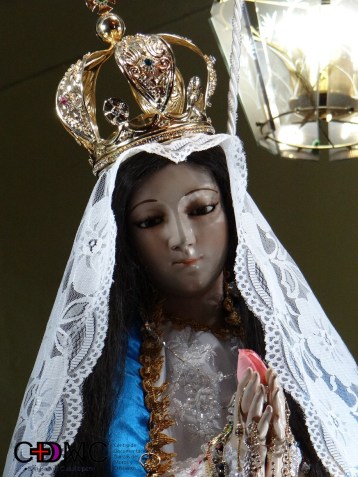 Inmaculada concepcion con logo